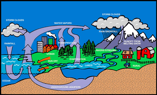 Hydrologic Water Cycle